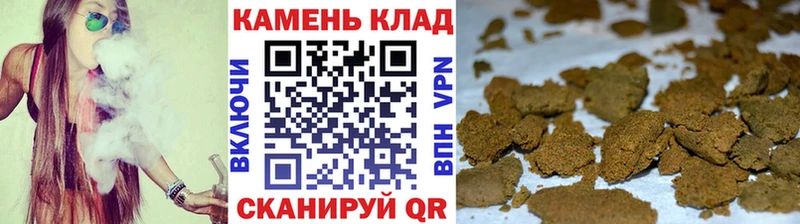 ГАШ AMNESIA HAZE  купить наркотики цена  Талица 