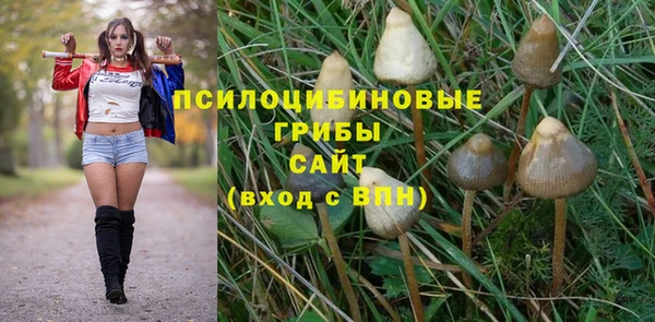 стафф Арсеньев