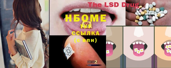стафф Арсеньев