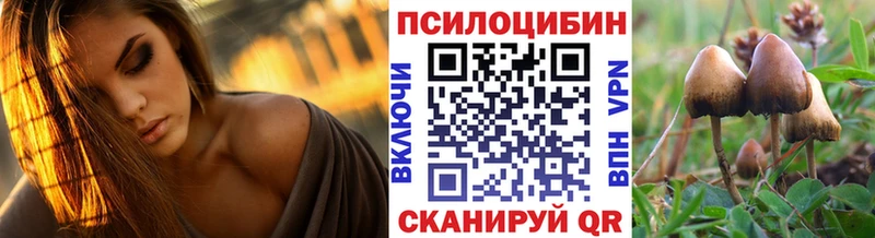 Галлюциногенные грибы прущие грибы  как найти   Талица 