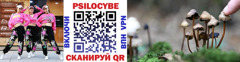 Псилоцибиновые грибы Psilocybine cubensis Талица